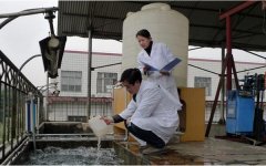 生活污水處理廠(chǎng)廢水檢測(cè)案例